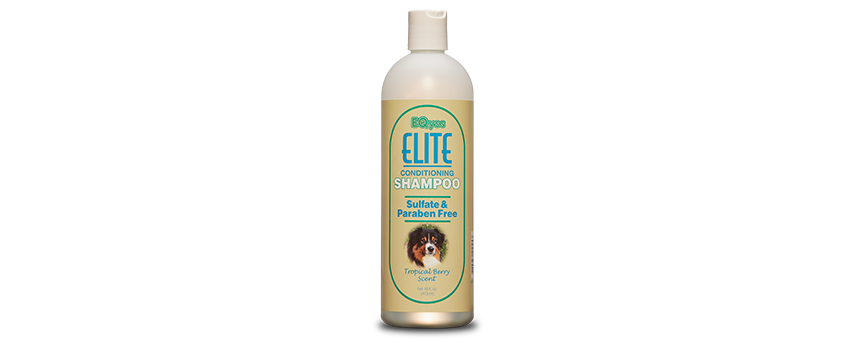 Hair Care